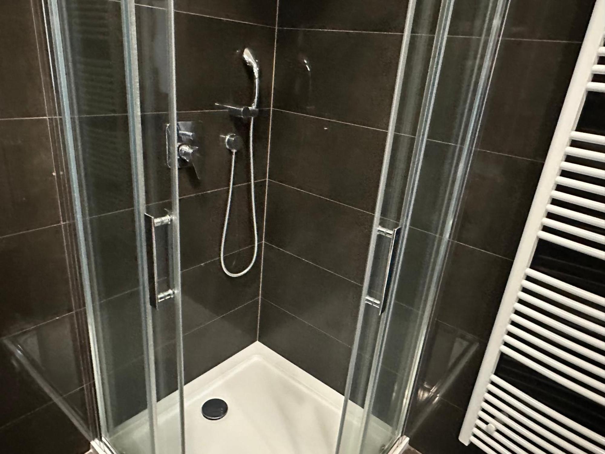 Spa Moser Apartments Karlsbad Værelse billede
